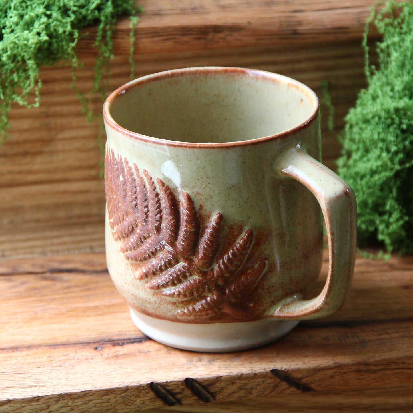 Tasse "Fougères 3D" - Choco Pistache sur argile sable